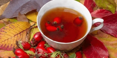 Korisna svojstva šipka za mršavljenje: za žene, recenzije